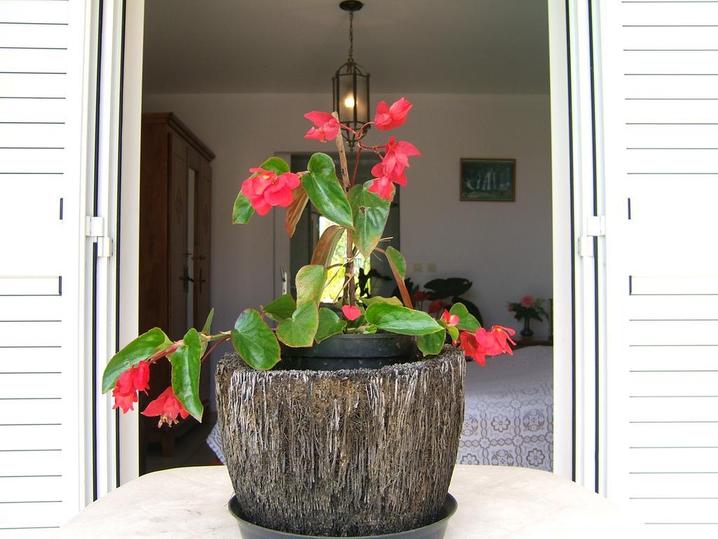 Holiday Home La Caverne Des Hirondelles Saint-Joseph Bagian luar foto